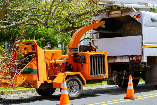 Best Seasonal Cleanup  in Uniontown, PA